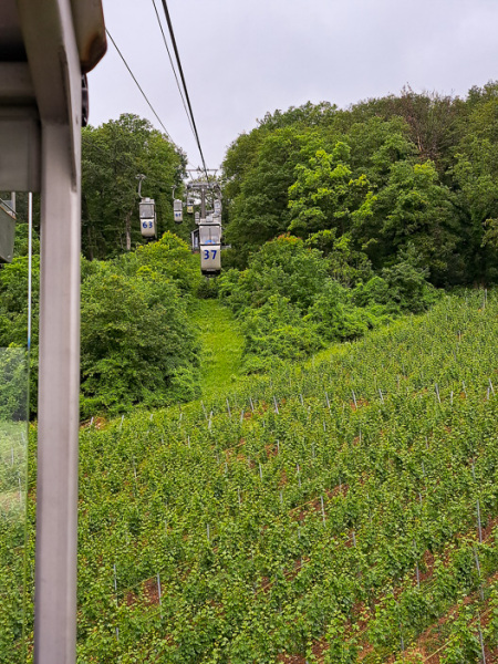 sommer-2024_16