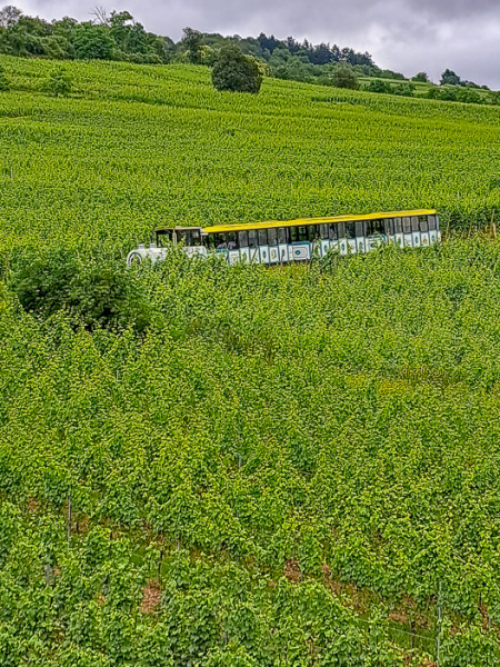 sommer-2024_19